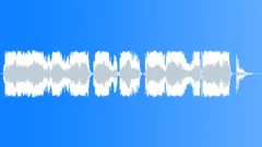 Military voiceSound Effect