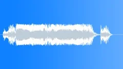 Military voiceSound Effect