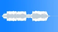 Military voice Sound Effect