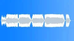 Military voice Sound Effect