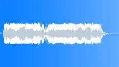 Military voiceSound Effect