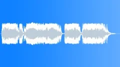Military voiceSound Effect