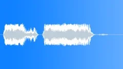 Military voice Sound Effect