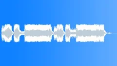 Military voice Sound Effect