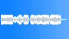Military voiceSound Effect
