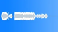 Military voice Sound Effect