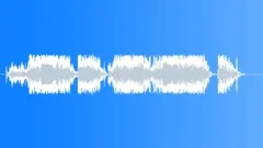 Military voice Sound Effect