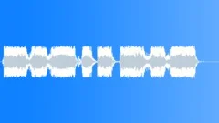 Military voice Sound Effect