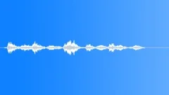 Military voiceSound Effect