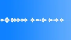 Military voiceSound Effect