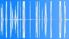 Military Voices Officer Orders Battalion Commands Slight Hot Distorted March Ca Sound Effect