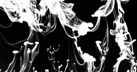 Milk and ink Stock Footage 201296204