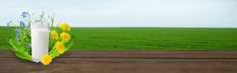 Milk and sunny spring field Stock Photos