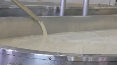 Milk being poured into cheese making vat inside factory for processing Stock Footage 83497044