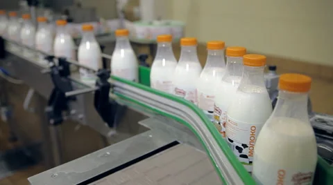 Milk bottles on the conveyor Stock Footage 64539063