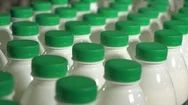Milk In Bottles Moving On Conveyor. Milk With Green Caps On A Conveyor Belt Stock Footage