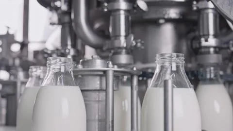 Milk bottling plant processing fresh milk into glass bottles Stock Illustration