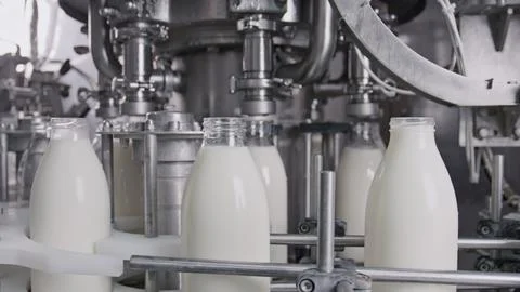 Milk bottling plant processing fresh milk into glass bottles on conveyor belt Stock Illustration