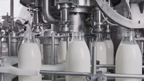 Milk bottling plant processing fresh milk into glass bottles on industrial Stock Illustration
