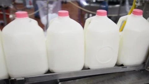 Milk bottling processing plant conveyor full of gallon jugs Vídeo Stock 124216594