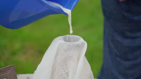 Milk from bucket is pour into an earthenware decanter Stock Footage 155805917