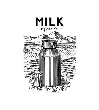 milk jug drawing