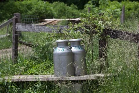 Milk Cans Stock Photos