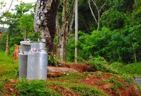Milk containers Stock Photos