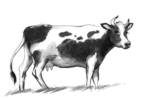 Milk cow Stock Illustration