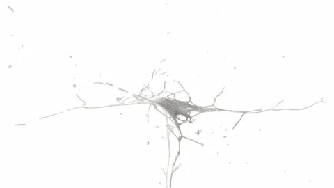 Milk cream splash drops on white bg super slow motion 1000 FPS Stock Footage 306741459