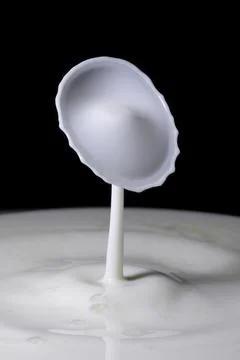 Milk drop collisions causing umbrella and mushroom shaped splash Stock Photos