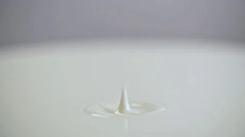 Milk drop drips to liquid white surface full hd slow-motion close-up video Dairy Vidéo 83103015