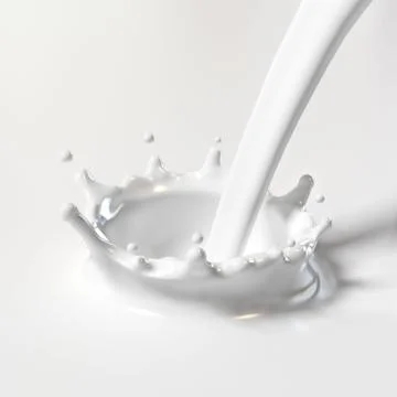 Milk drop Stock Illustration