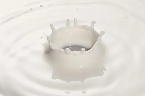 Milk drop Stock Photos