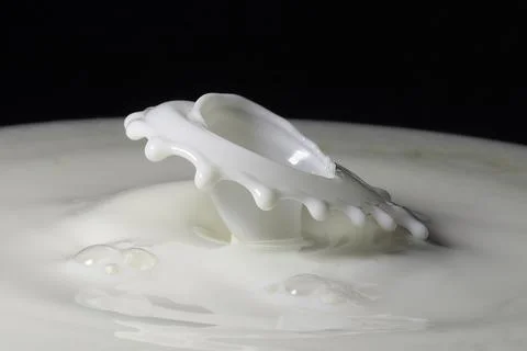 Milk drop splash Stock Photos