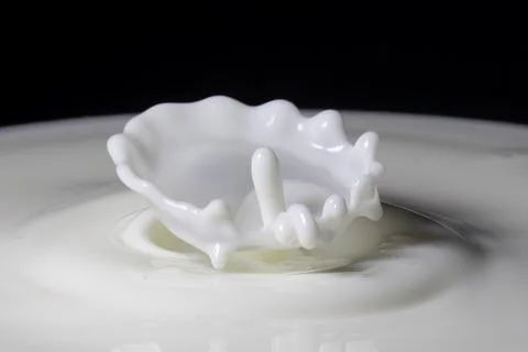 Milk drop splash Stock Photos