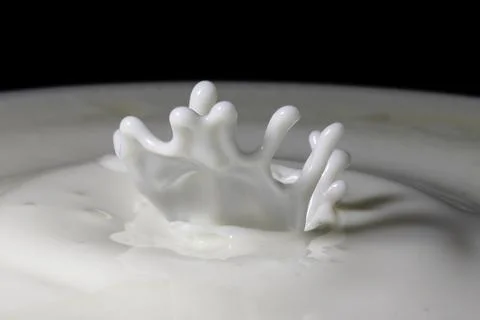 Milk drop splash Stock Photos