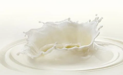 Milk drop with splashes on white background Foto stock