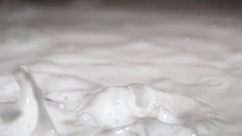 Milk drops falling in the milk in slow motion Video stock 81228888