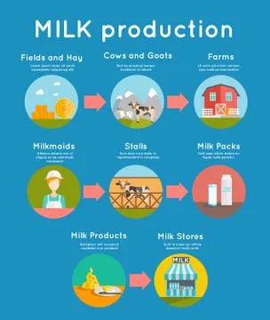 Milk flat concept 库存插图
