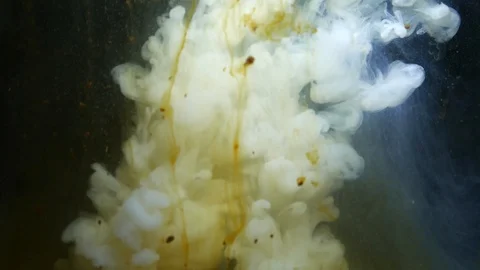 Milk Stock Footage 111697275