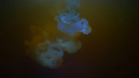 Milk Stock Footage 111697502