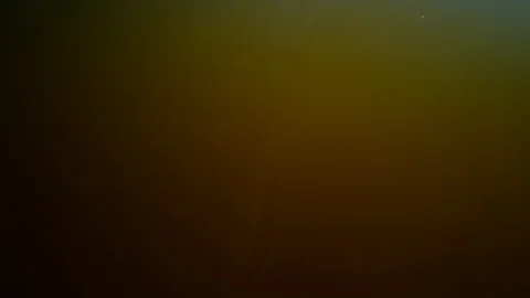 Milk Stock Footage 111697507