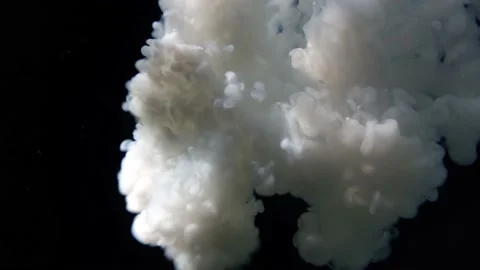 Milk Video stock 234177348