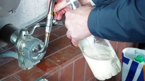 Milk Stock Footage 300584428