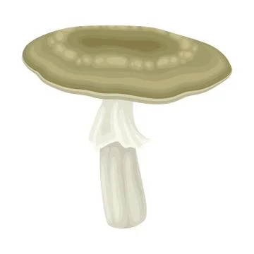 Milk Forest Mushroom or Toadstool with Stem and Cap Isolated on White Background Stockillustratie