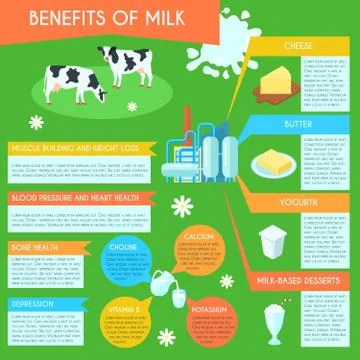Milk infographic layout poster Illustrazione stock