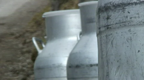 Milk jars Stock Footage 114123