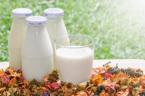 Milk in the light Stock Photos
