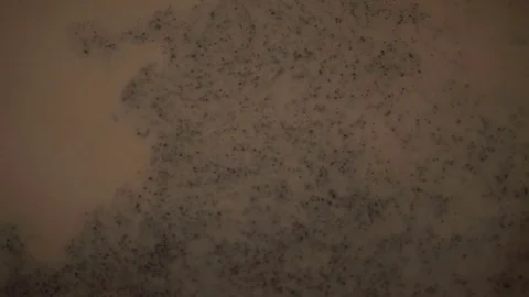 Milk Mixes With A Coffee Stock Footage 76883064